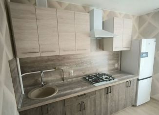 Сдача в аренду трехкомнатной квартиры, 56 м2, Санкт-Петербург, проспект Тореза, 38к4