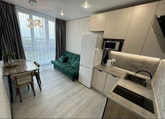 Сдаю однокомнатную квартиру, 43 м2, Республика Башкортостан, улица Николая Ковалёва, 1