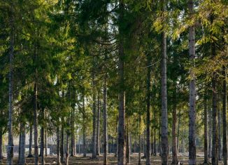 Продам земельный участок, 7.6 сот., Московская область