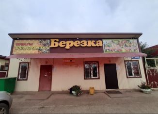 Продажа торговой площади, 150 м2, село Верхнеяркеево, улица Чеверева, 39