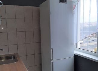 1-комнатная квартира в аренду, 30 м2, Санкт-Петербург, Искровский проспект, 21, Искровский проспект