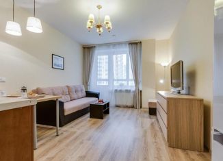 Аренда квартиры студии, 30 м2, Мурино, Привокзальная площадь, 3к3, ЖК Эланд