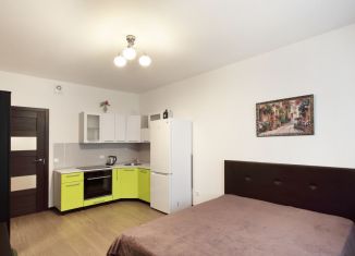 Продаю квартиру студию, 24 м2, Кудрово, Английская улица, 3к2