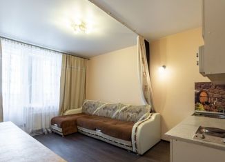 Продаю квартиру студию, 25 м2, Кудрово, Пражская улица, 9, ЖК Вернисаж