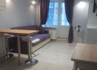 Сдается в аренду квартира студия, 25 м2, Мурино, проспект Авиаторов Балтики, 11/1, ЖК Три кита