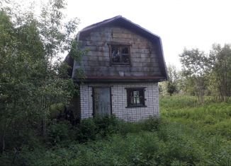 Продам дачу, 50 м2, деревня Жуки