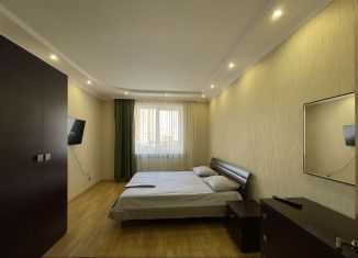 Двухкомнатная квартира в аренду, 55 м2, Северная Осетия, Московское шоссе, 3литЗ