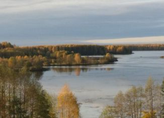 Продажа земельного участка, 40 сот., деревня Сенюшкино, Сенюшкинская улица, 27