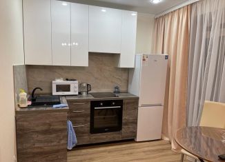 Квартира в аренду студия, 25 м2, Татарстан, улица Петра Гаврилова, 22