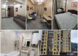 Сдается 1-комнатная квартира, 50 м2, курортный поселок Домбай, Карачаевская улица, 60