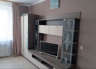 Сдаю в аренду 1-комнатную квартиру, 37.9 м2, поселок городского типа Стройкерамика, улица Академика Дмитрия Козлова, 33