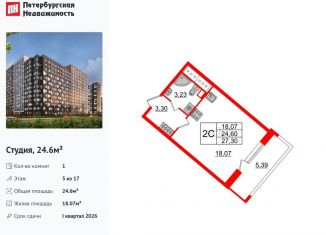 Продаю квартиру студию, 24.6 м2, Санкт-Петербург, муниципальный округ Невский