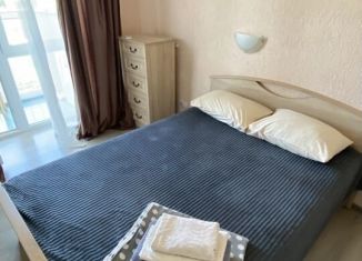 Сдается квартира студия, 23 м2, Крым, переулок Танкистов, 18