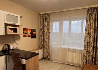 Квартира в аренду студия, 19 м2, Новосибирск, улица Титова, 270