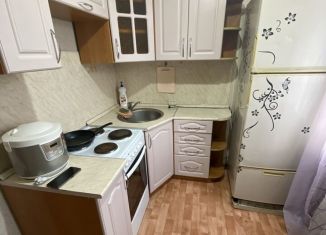 Аренда 1-комнатной квартиры, 30 м2, Калтан, улица Горького, 16