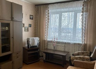 Аренда 2-комнатной квартиры, 45 м2, деревня Радумля, микрорайон Механического завода № 1, 13