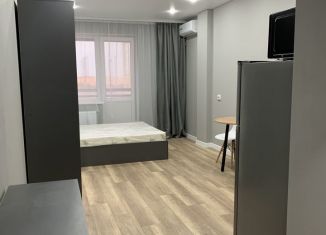 Аренда квартиры студии, 34 м2, Абакан, улица Кирова, 212А