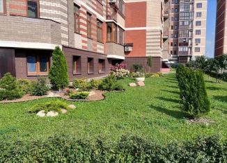 Продаю квартиру студию, 18 м2, деревня Ивановское, улица Семёна Гордого, 3