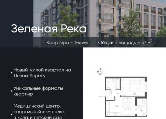 Продам 1-комнатную квартиру, 37 м2, Омск, Кировский округ, микрорайон Зелёная Река, 1