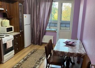 2-ком. квартира в аренду, 60 м2, посёлок Песочный, Садовая улица, 88