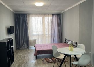 Квартира в аренду студия, 29.9 м2, Пенза, улица Бородина, 4