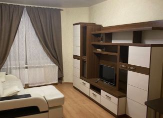 Продается однокомнатная квартира, 45 м2, Санкт-Петербург, метро Озерки, Выборгское шоссе, 17к1