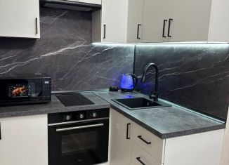 Сдаю в аренду однокомнатную квартиру, 32 м2, посёлок Шушары, улица Нины Петровой, 10к1