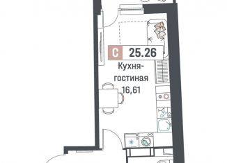 Продаю квартиру студию, 25.3 м2, Мурино