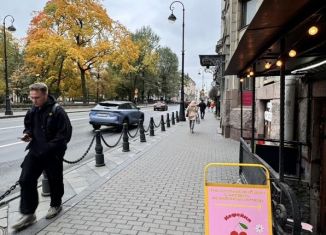 Сдам в аренду помещение свободного назначения, 20 м2, Санкт-Петербург, Каменноостровский проспект, 26-28, муниципальный округ Кронверкское