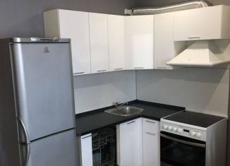 Сдается в аренду 1-комнатная квартира, 40 м2, Котельники, Сосновая улица, 2к4, ЖК Белые Росы