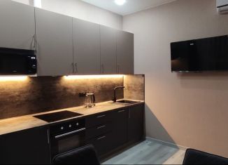 Сдается квартира студия, 30 м2, Москва, проезд Шелихова, 2