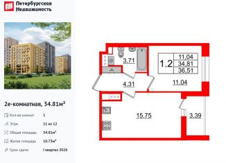 Продается однокомнатная квартира, 34.8 м2, Санкт-Петербург, муниципальный округ Коломяги