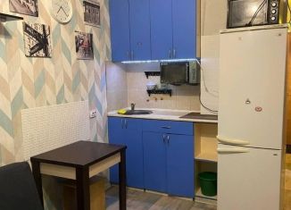 Сдается квартира студия, 22 м2, Новосибирск, улица Виктора Уса, 13