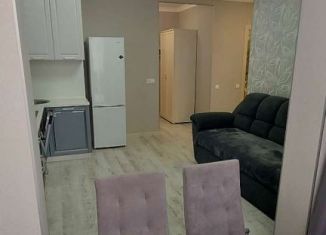 Сдаю в аренду трехкомнатную квартиру, 60 м2, Сочи, улица Яна Фабрициуса, 7, микрорайон Яна Фабрициуса