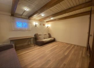 Сдаю дом, 50 м2, деревня Сергеевка, деревня Сергеевка, 4