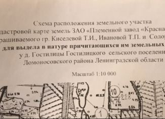 Продажа земельного участка, 277 сот., деревня Гостилицы, 41К-248