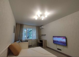 Однокомнатная квартира в аренду, 35 м2, Сочи, Красноармейская улица, 38, микрорайон Заречный