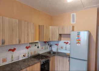 Сдается 1-ком. квартира, 40 м2, Рязань, улица Чапаева, 59