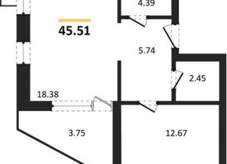 1-комнатная квартира на продажу, 45.5 м2, Воронеж, Железнодорожный район, набережная Чуева, 7