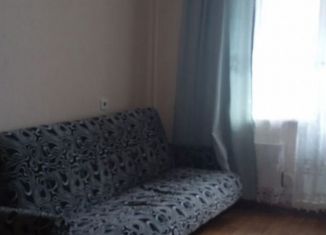 Квартира в аренду студия, 20 м2, Новосибирск, улица Петухова, 101/1, ЖК Матрёшкин Двор