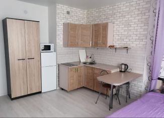 Квартира на продажу студия, 29 м2, Анапа, Анапское шоссе, 24к1