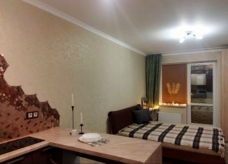 Квартира в аренду студия, 30 м2, Санкт-Петербург, Репищева улица, 10к1, муниципальный округ Юнтолово