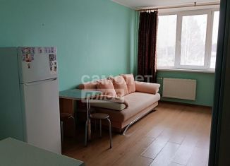 Продается квартира студия, 21 м2, деревня Хохряки, Тепличная улица, 30