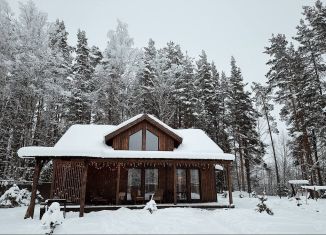 Сдается дом, 160 м2, деревня Раздолье, Лесная улица, 26