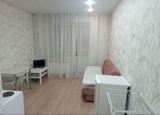 Сдается квартира студия, 28 м2, Абакан, улица Некрасова, 45