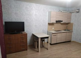 Продам квартиру студию, 28.5 м2, Екатеринбург, улица Чайковского, 86В, метро Геологическая