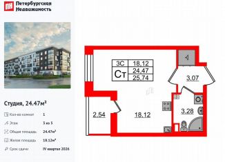 Продажа квартиры студии, 24.5 м2, Санкт-Петербург, муниципальный округ Пулковский Меридиан