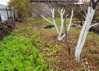 Продается дача, 30 м2, СТ Берёзовка, СТ Берёзовка, 46Б