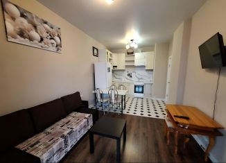 3-комнатная квартира в аренду, 60 м2, посёлок Коммунарка, улица Александры Монаховой, 43к1