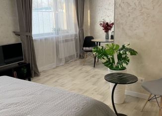 Сдам в аренду квартиру студию, 30 м2, Благовещенск, улица Шимановского, 5